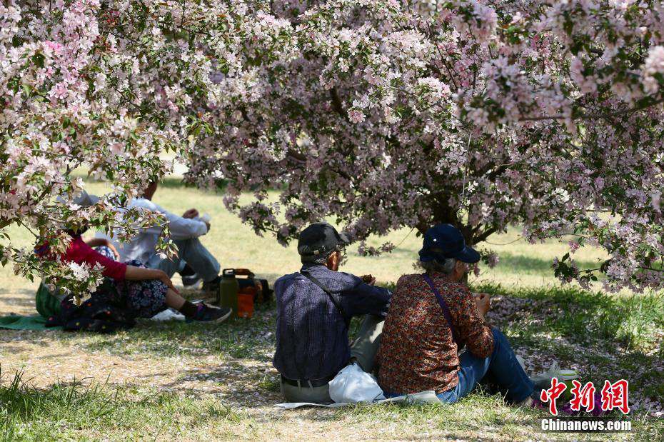 Beijing: inaugurato il Giardino Botanico Nazionale della Cina