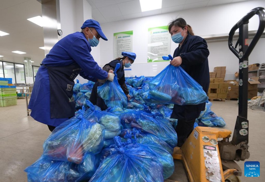 Le imprese si impegnano ad assicurare la fornitura di ortaggi a Shanghai