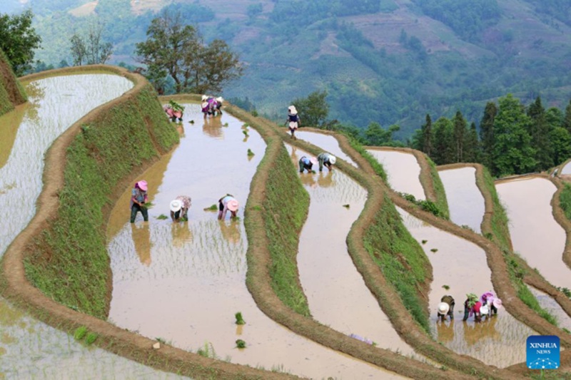 Cina: contadini impegnati nei lavori agricoli primaverili