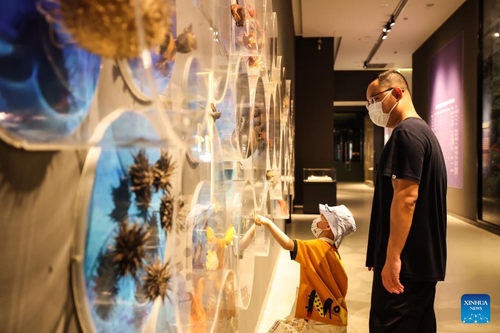 Museo di Hainan: in corso la mostra sulla civiltà marittima del Mar Cinese Meridionale