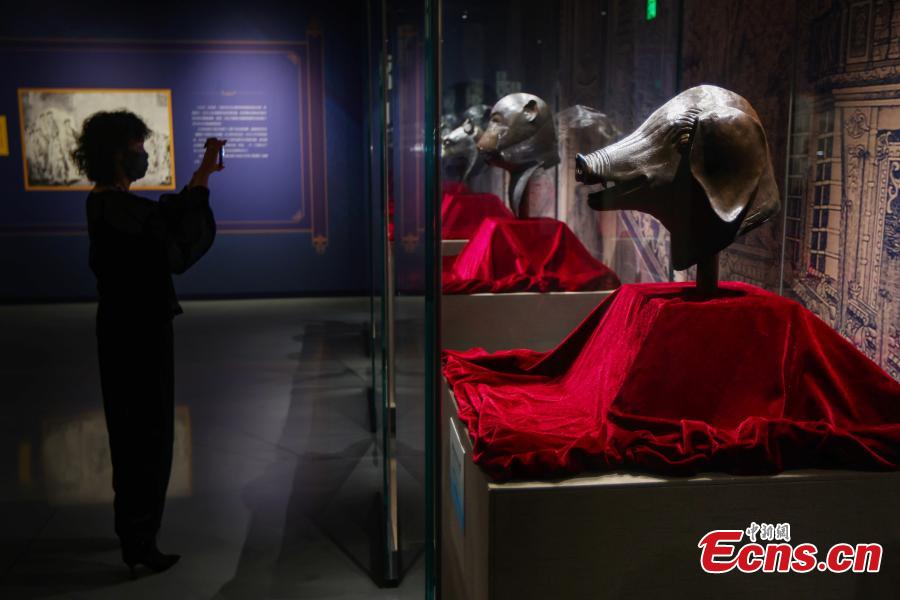 Museo di Nanjing: mostra speciale di teste animali dell'Antico Palazzo d'Estate 