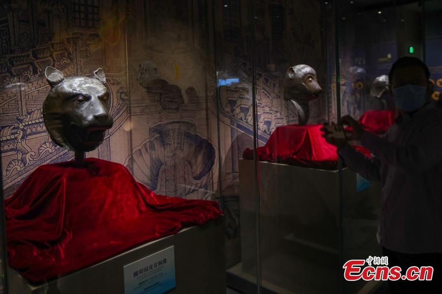 Museo di Nanjing: mostra speciale di teste animali dell'Antico Palazzo d'Estate 