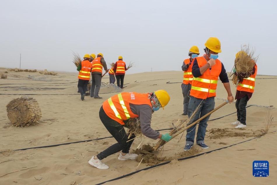 Xinjiang, Cina: corridoio verde antisabbia costruito lungo la ferrovia del deserto 