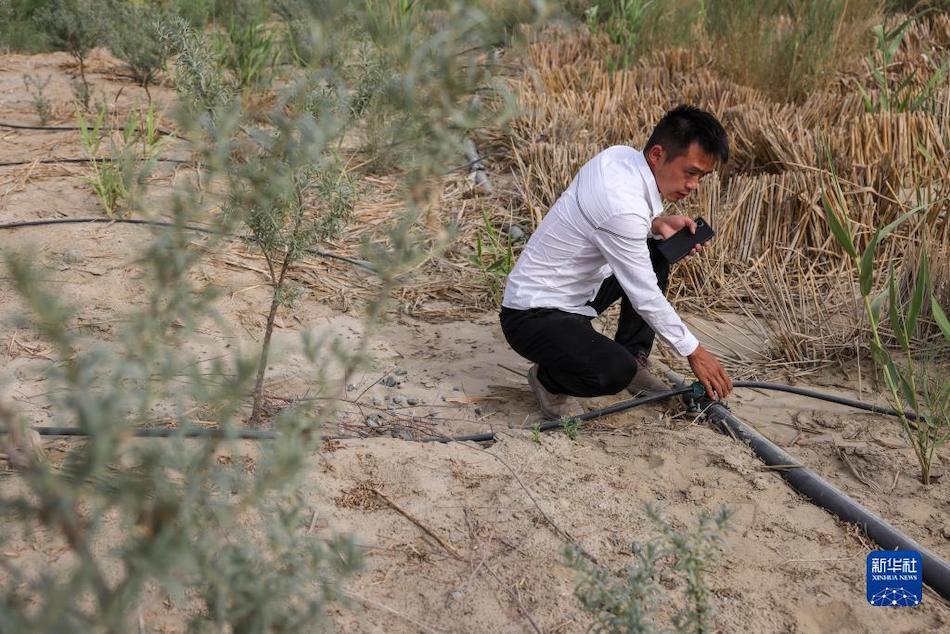 Xinjiang, Cina: corridoio verde antisabbia costruito lungo la ferrovia del deserto 