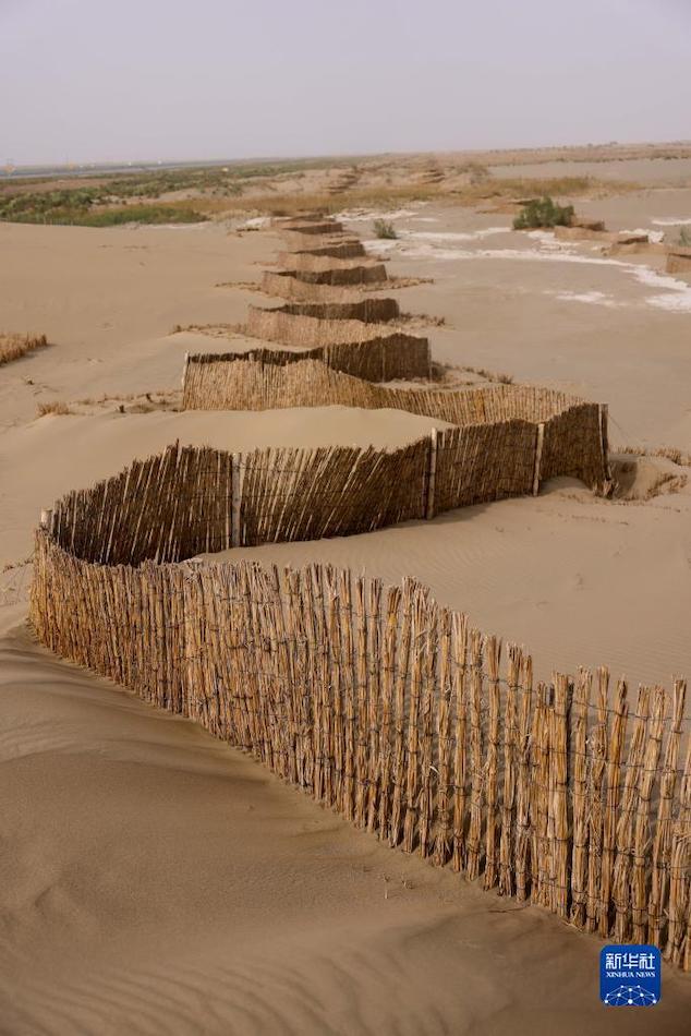 Xinjiang, Cina: corridoio verde antisabbia costruito lungo la ferrovia del deserto 