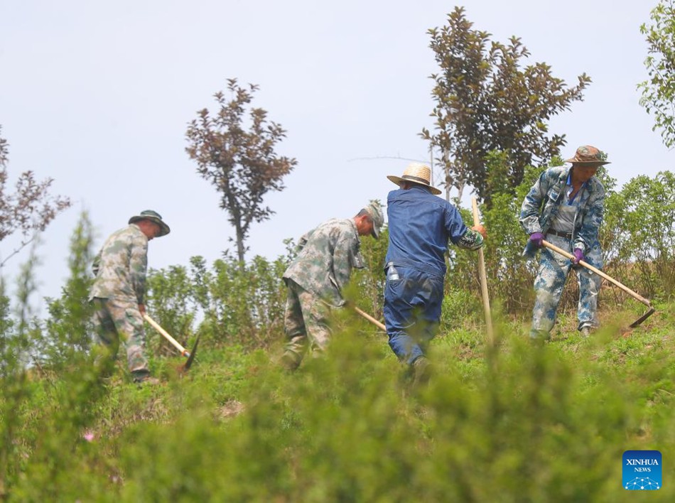 Liaoning, Cina: pozzo minerario abbandonato trasformato in giardino