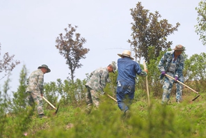 Liaoning, Cina: pozzo minerario abbandonato trasformato in giardino