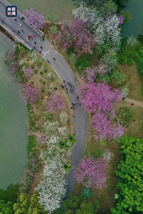 Inaugurato oggi il Giardino Botanico Nazionale della Cina meridionale