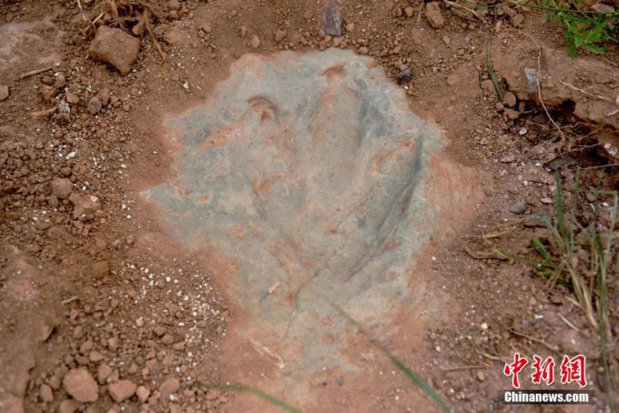 Fossile di impronta di dinosauro nel villaggio di Lishi, città di Zhangjiakou, provincia dello Hebei. (11 luglio 2022-Foto/Chen Xiaodong)