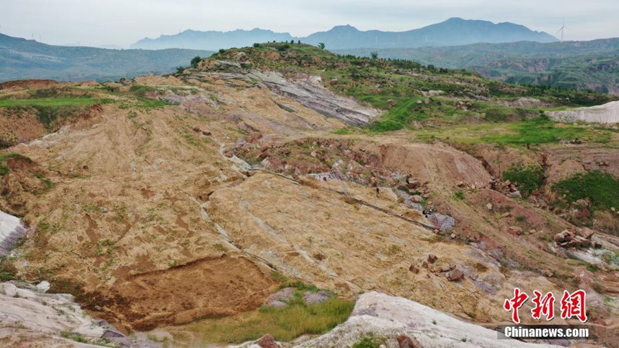 Hebei: scoperto il più grande sito di fossili di impronte di dinosauri