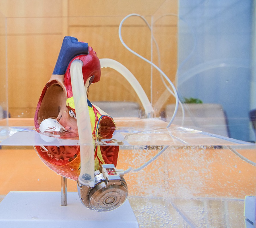 La Cina approva a livello nazionale il