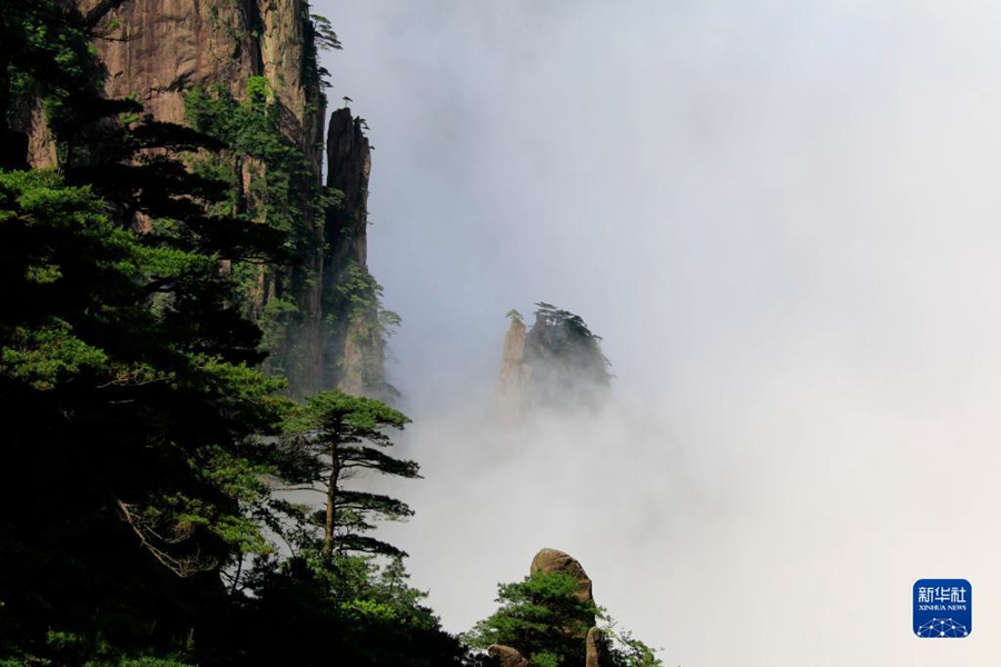 Il monte Huangshan, sito patrimonio dell'umanità, attira un maggior numero di turisti a luglio