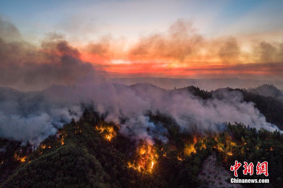 Il fuoco sta bruciando dappertutto. (Foto/Liu Zhongjun)