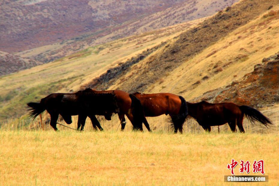 Xinjiang: le montagne tinte dai colori autunnali