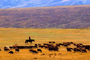 Xinjiang: le montagne tinte dai colori autunnali