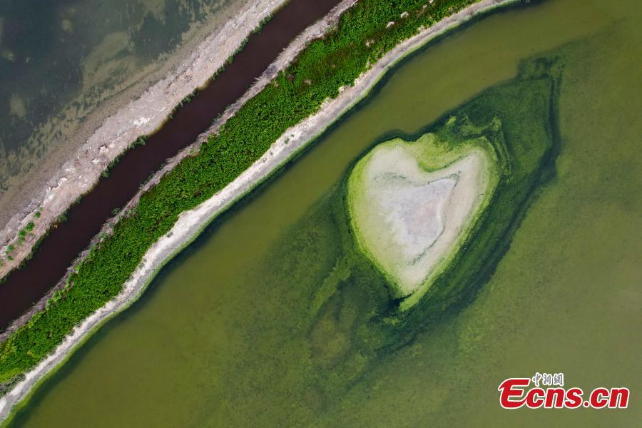 Diverse formazioni saline compaiono nel 