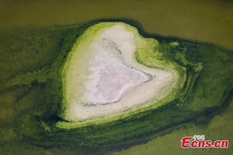 Diverse formazioni saline compaiono nel 