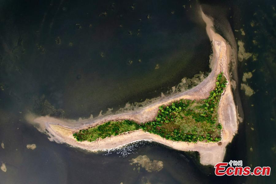 Diverse formazioni saline compaiono nel 