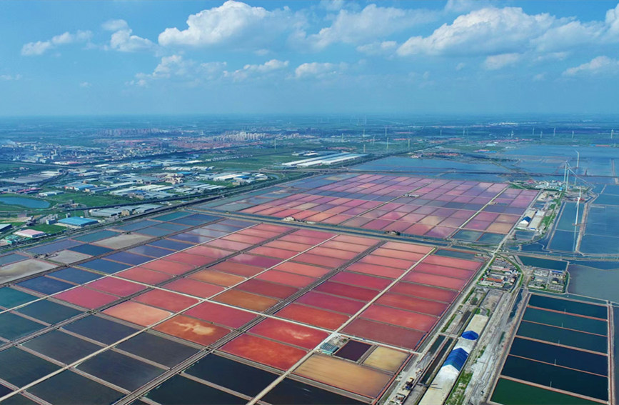 Tianjin: campo di sale colorato come un dipinto