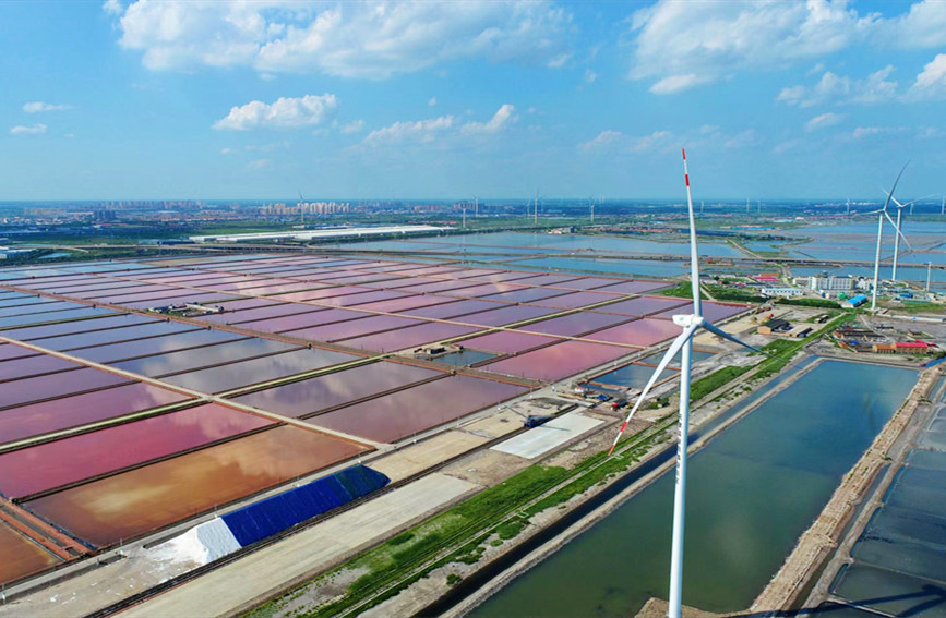 Tianjin: campo di sale colorato come un dipinto