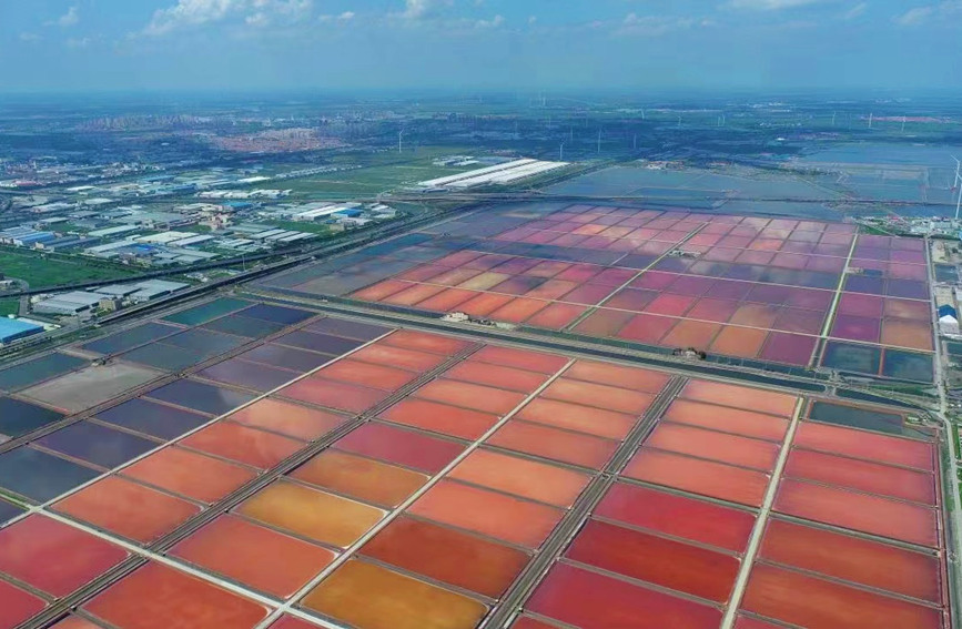 Tianjin: campo di sale colorato come un dipinto