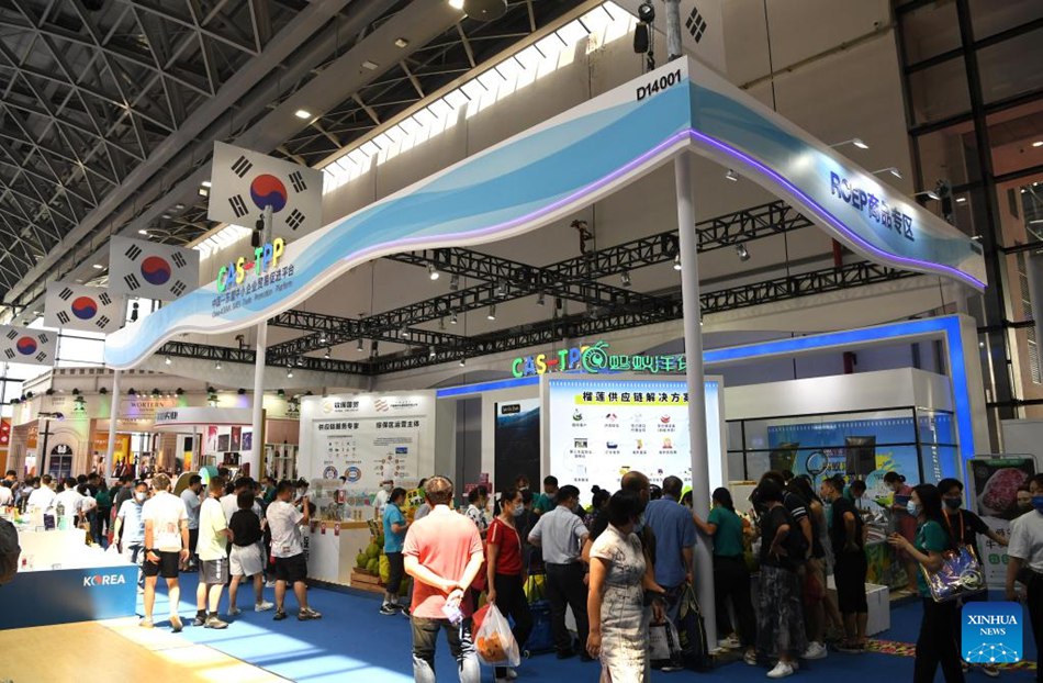 I padiglioni del RCEP alla 19a Expo Cina-ASEAN
