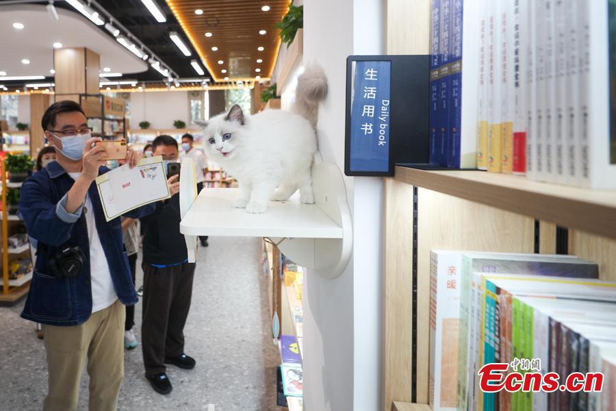 La catena di librerie Xinhua inaugura la prima libreria a tema animali domestici a Beijing