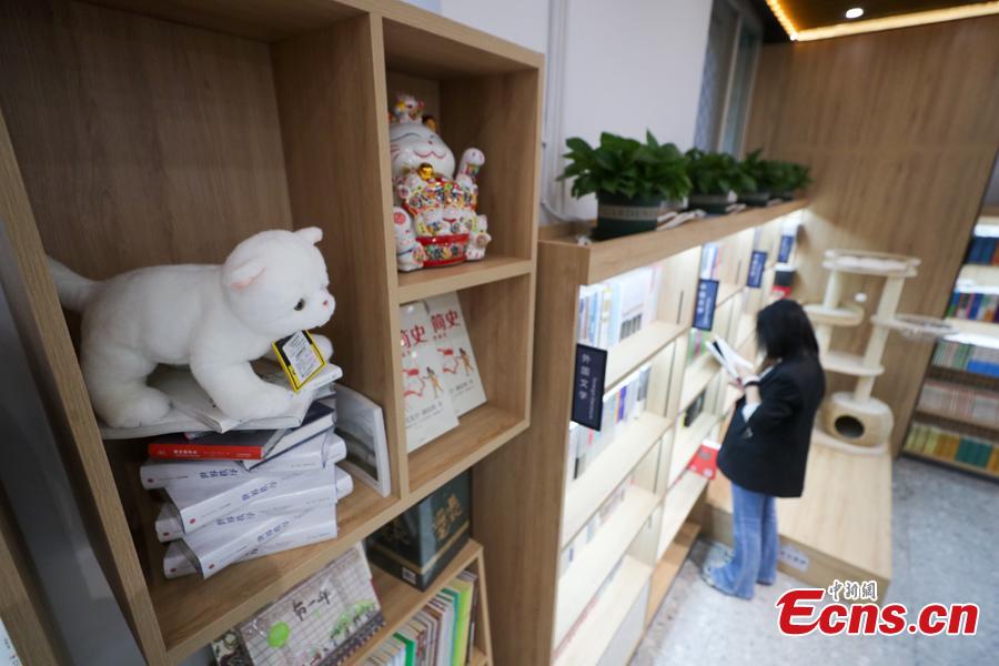 La catena di librerie Xinhua inaugura la prima libreria a tema animali domestici a Beijing