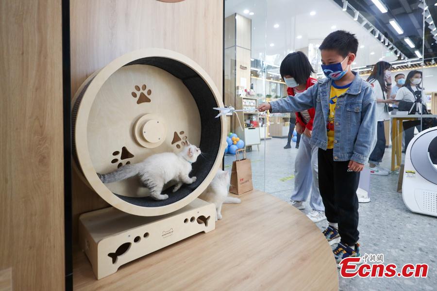 La catena di librerie Xinhua inaugura la prima libreria a tema animali domestici a Beijing