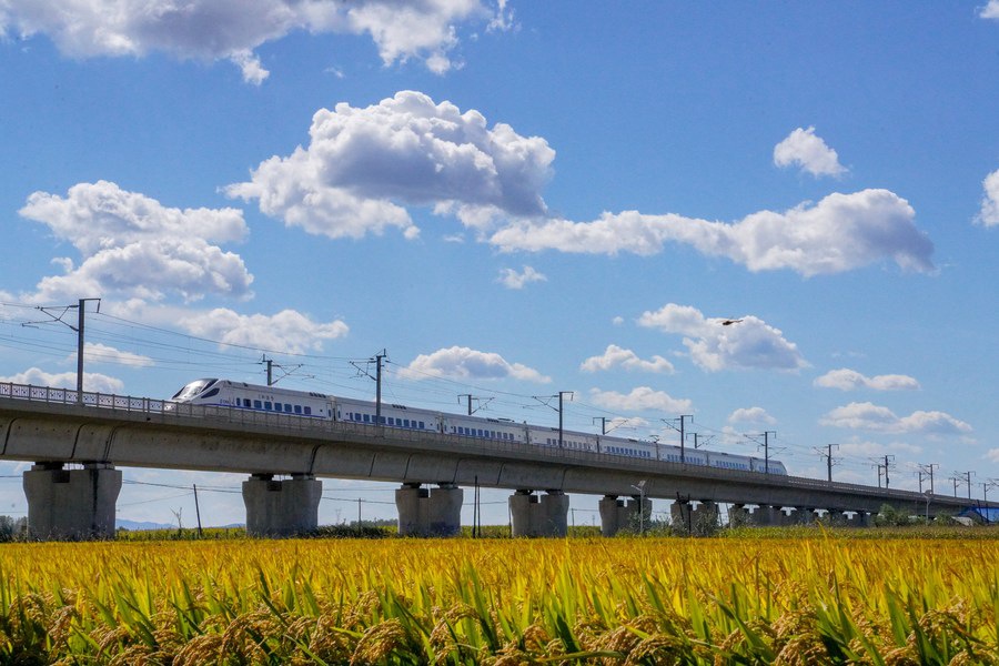 Un treno proiettile corre lungo una risaia nel villaggio di Fangshengangzi, nella provincia del Jilin, Cina nordorientale. (19 settembre 2022 - Xinhua/Yan Linyun) 