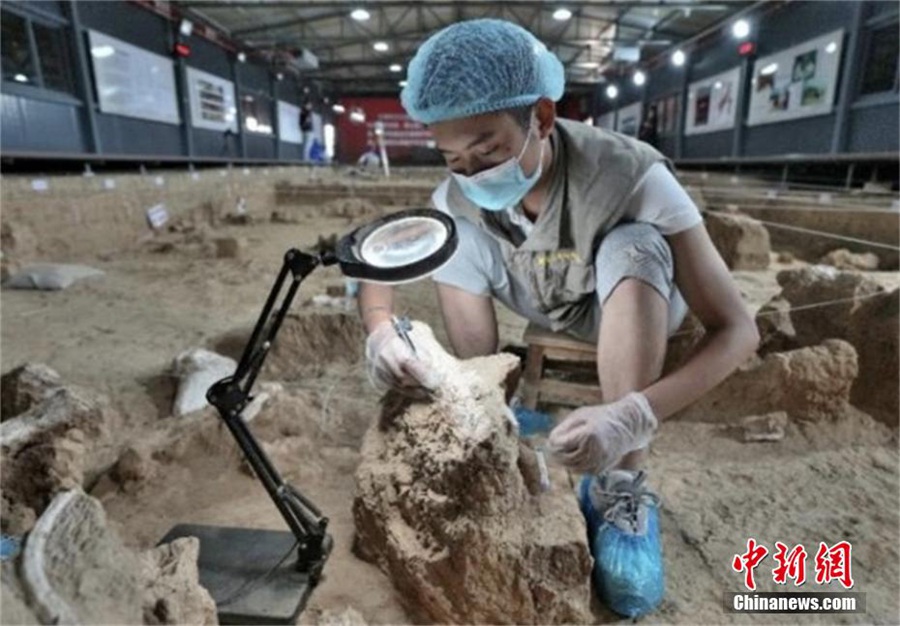 Cina: antichi fossili di teschi umani scoperti nello Hubei dimostrano milioni di anni di evoluzione umana