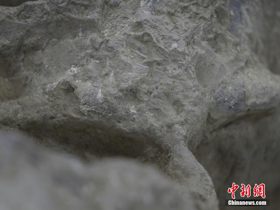 Cina: antichi fossili di teschi umani scoperti nello Hubei dimostrano milioni di anni di evoluzione umana