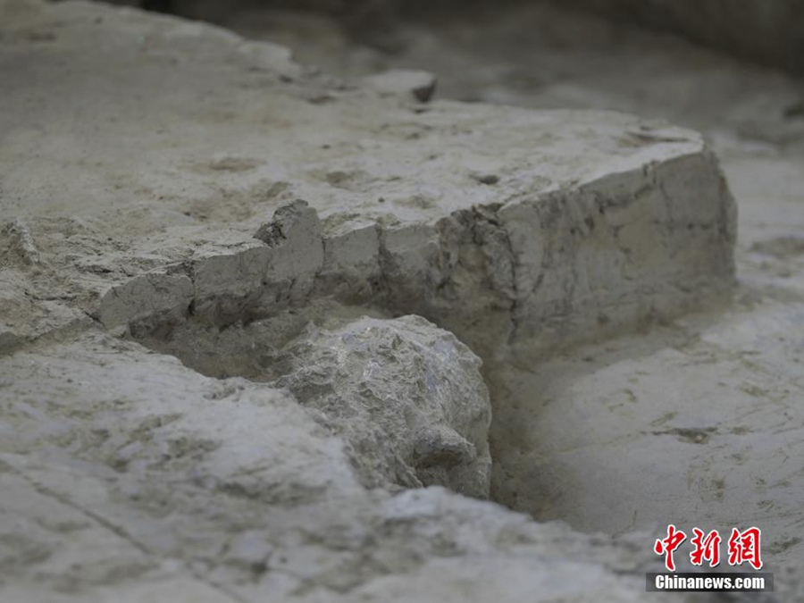 Cina: antichi fossili di teschi umani scoperti nello Hubei dimostrano milioni di anni di evoluzione umana