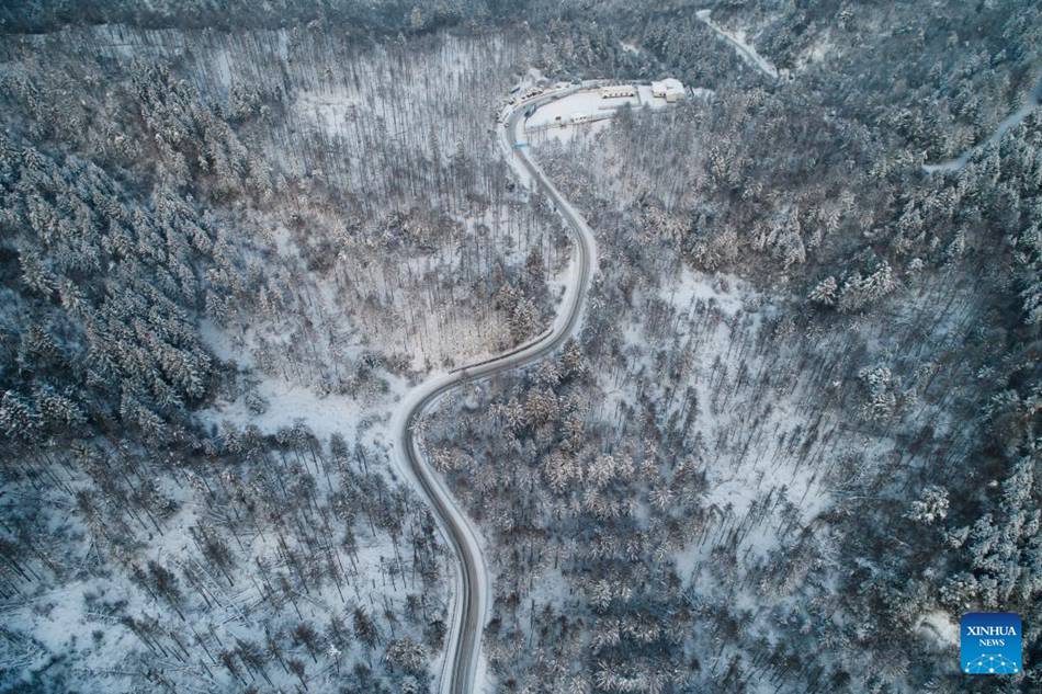 La contea di Ningshan si impegna per la protezione ecologica e lo sviluppo verde