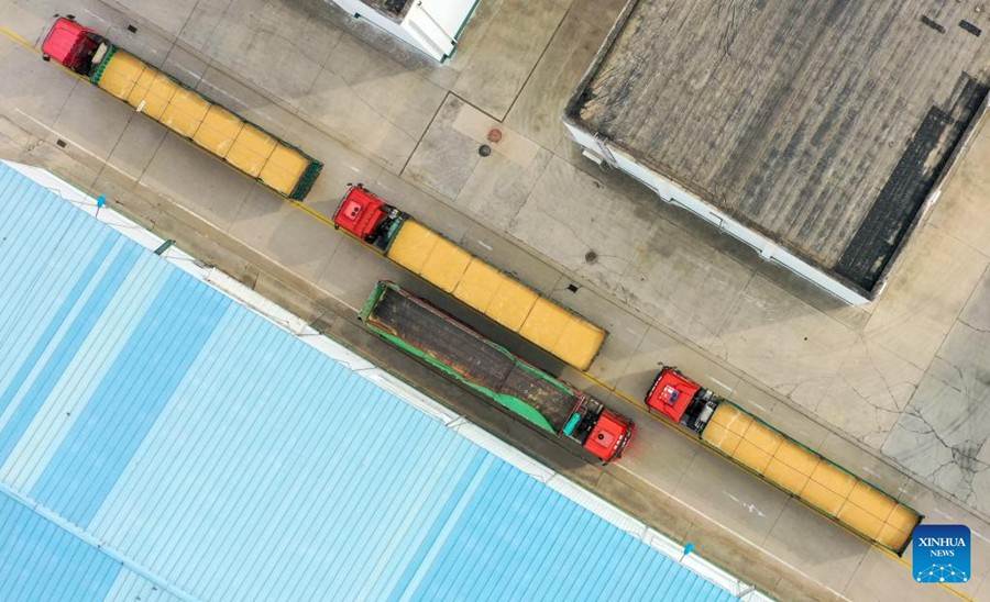 Tianjin: monitoraggio della temperatura per ridurre la perdita di grano