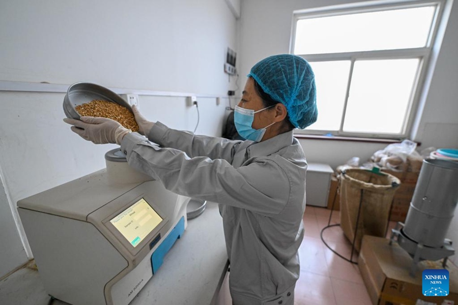 Tianjin: monitoraggio della temperatura per ridurre la perdita di grano
