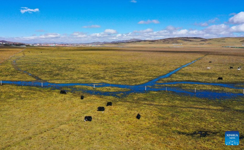 Prefettura autonoma della Cina sudoccidentale vede un ambiente ecologico migliore nelle zone umide