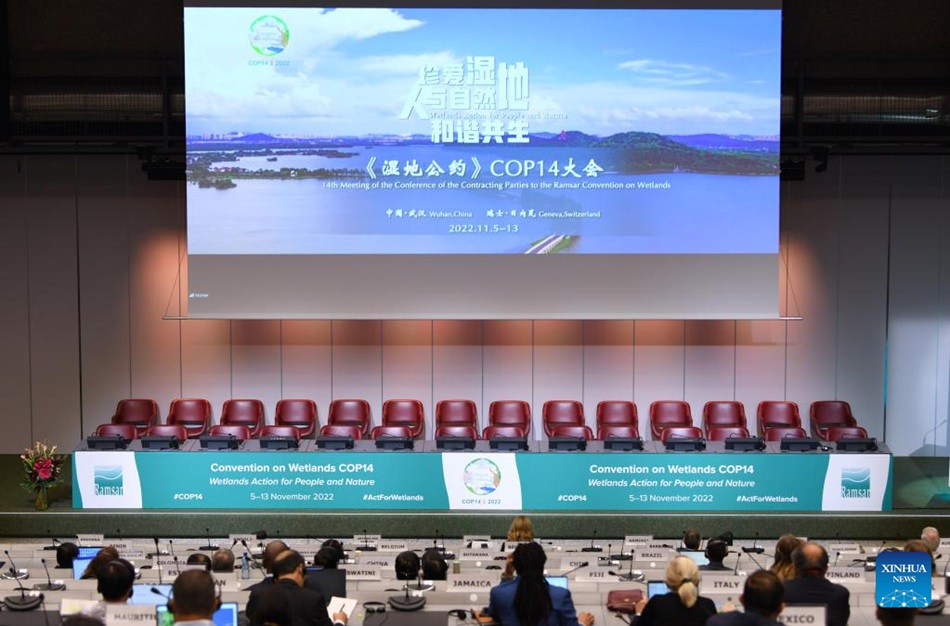 Dichiarazione di Wuhan adottata alla COP14 sulla conservazione delle zone umide