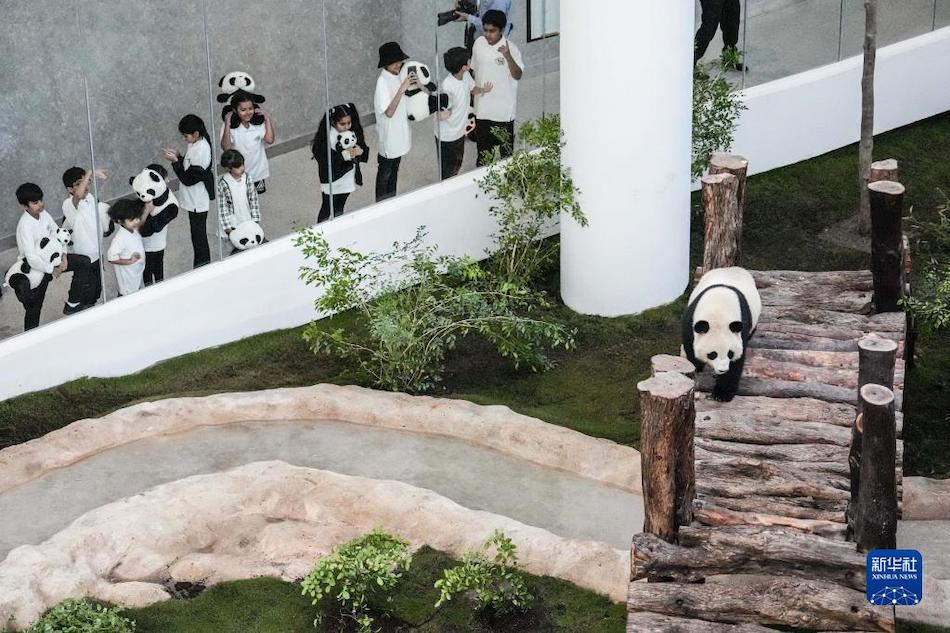 Qatar Panda House apre ufficialmente al pubblico