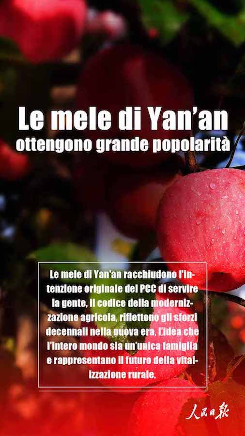 Perché le mele di Yan'an sono così popolari?