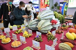 Aperta la Fiera invernale internazionale dei prodotti agricoli tropicali della Cina (Hainan) 2022