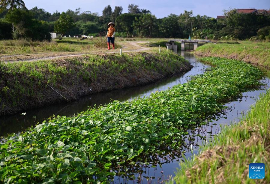 Wenchang: isole galleggianti artificiali installate sugli affluenti dei fiumi per purificare l'acqua