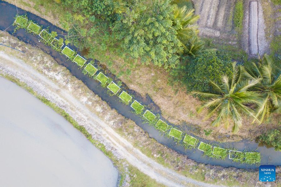 Wenchang: isole galleggianti artificiali installate sugli affluenti dei fiumi per purificare l'acqua