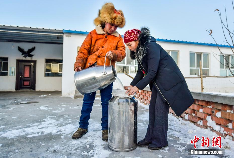 Xinjiang: il rapido sviluppo dell'industria dei cammelli porta un reddito stabile ai pastori