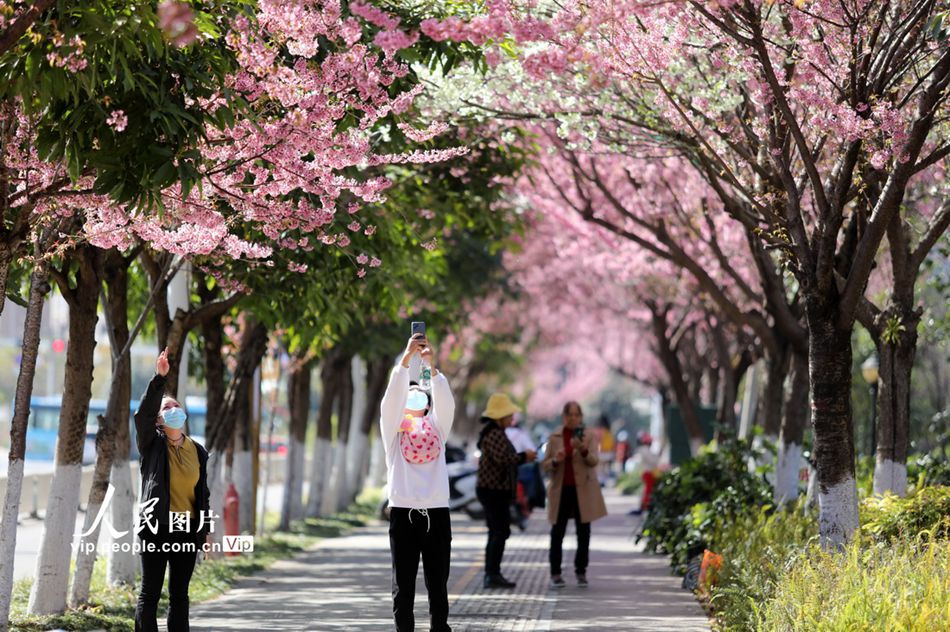 Cina: 308 milioni di viaggi turistici nazionali durante le vacanze della Festa di Primavera