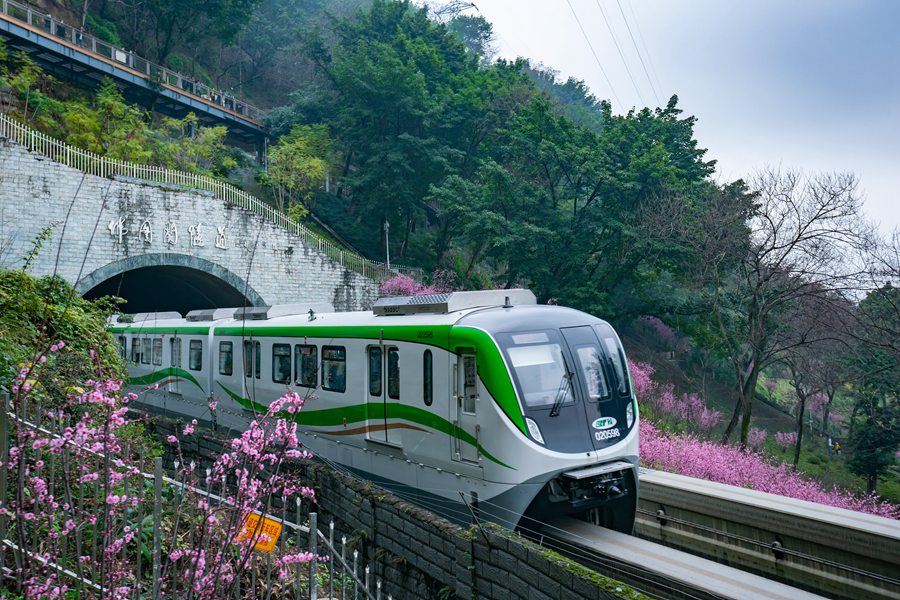 Bellissimi fiori di prugno nel tratto Fotuguan della metropolitana di Chongqing