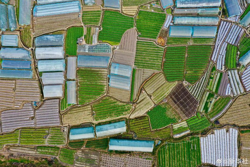 Fujian: puzzle multicolore dei campi arati