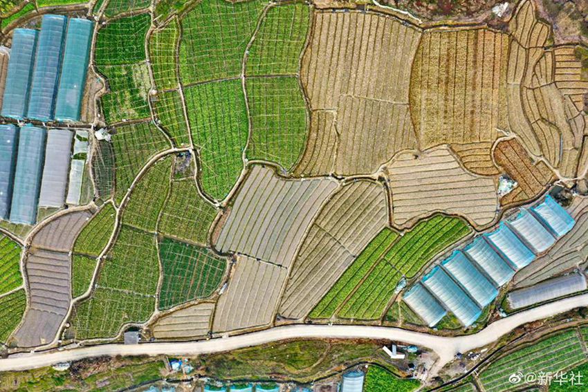 Fujian: puzzle multicolore dei campi arati