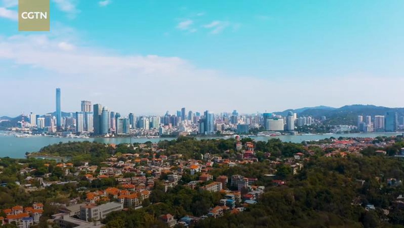 Xi Jinping ha a cuore i tesori culturali della Cina: il tesoro dell'"Isola delle garzette"