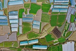 Fujian: puzzle multicolore dei campi arati 